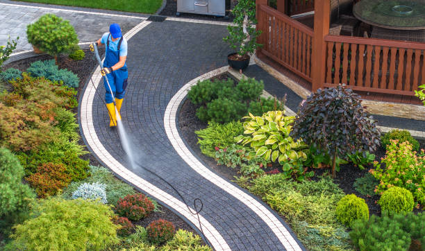 Roof Power Washing Services in Lake Delta, NY